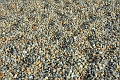 26 10 15_7988_edited-1